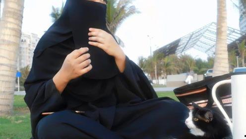 娱乐吃瓜君a,揭秘娱乐圈幕后故事,带你领略明星真实生活